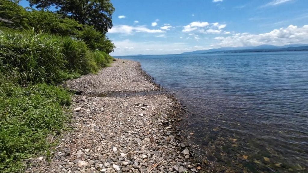 琵琶湖の長浜市にある海津大崎義経浜のバス釣りのポイントの様子