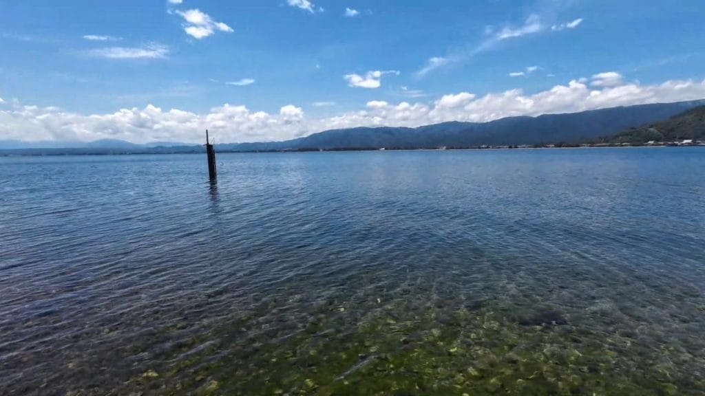 琵琶湖の海津大崎義経浜のバス釣りポイントで北の沖30-50ｍの対岸