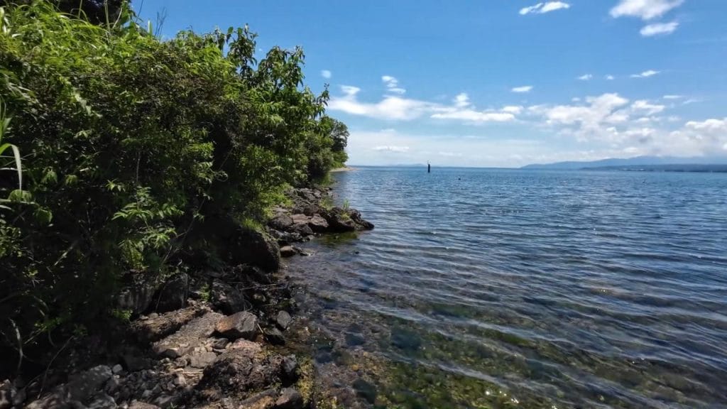 琵琶湖の海津大崎義経浜のバス釣りポイントで北の沖30-50ｍの北