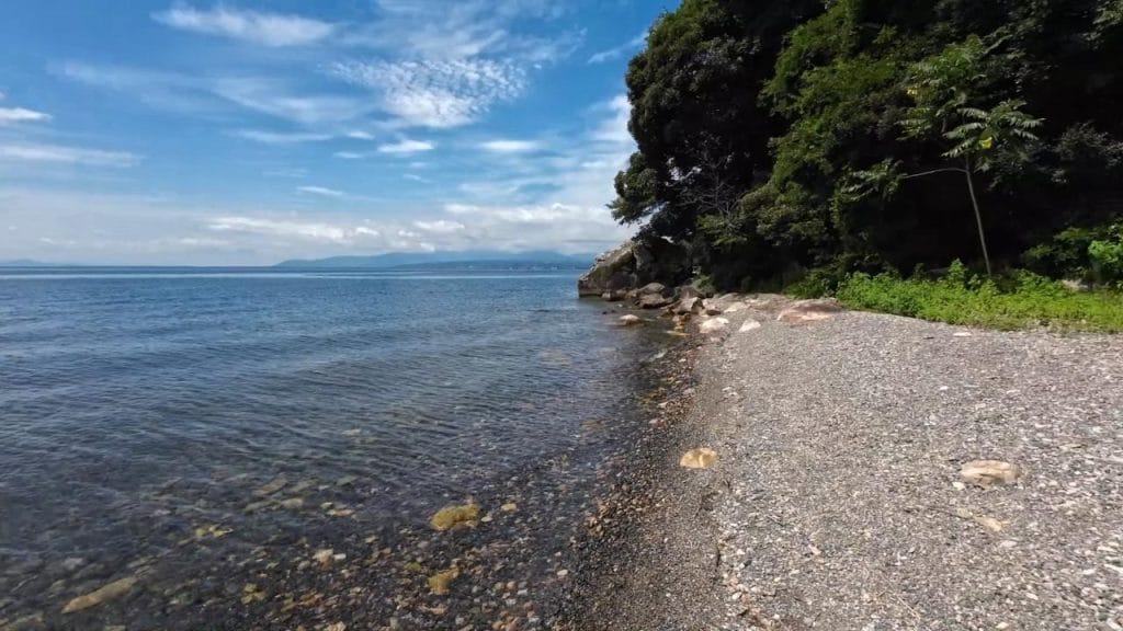 海津大崎弁天浜北側のバス釣りポイントを水中映像で紹介！琵琶湖の