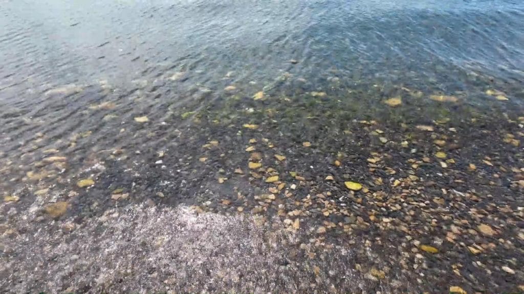 琵琶湖の高島市にある海津大崎弁天浜周辺のバス釣りのポイントの水質