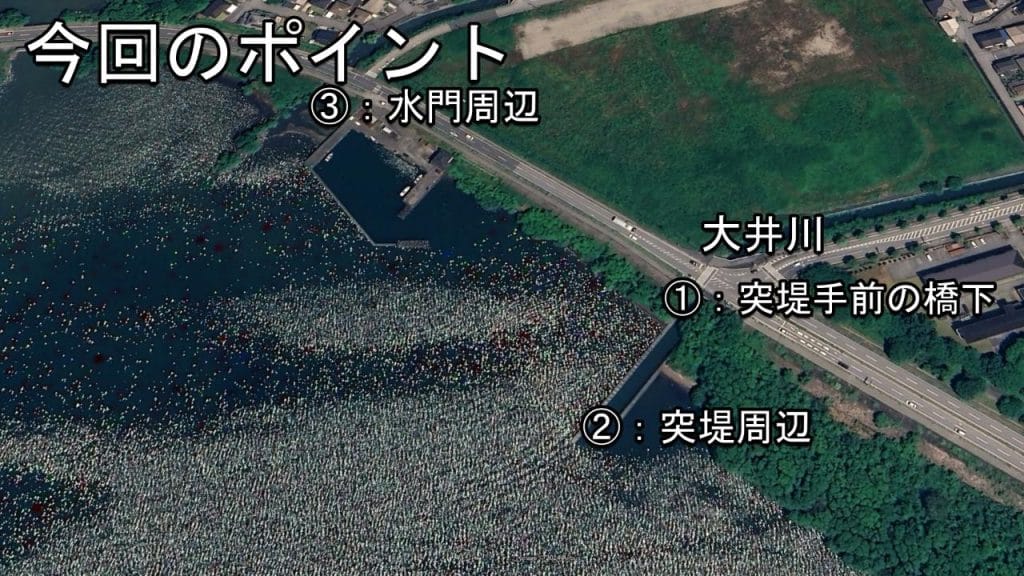 琵琶湖の相撲エリアのバス釣りポイントを3つ紹介