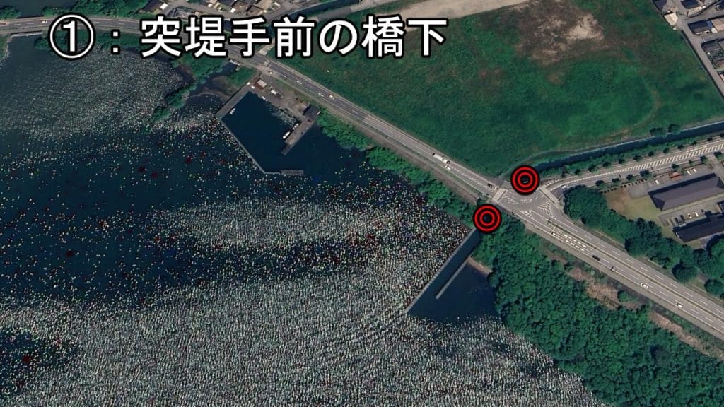 琵琶湖の相撲エリアの突堤手前の橋下のバス釣りポイント