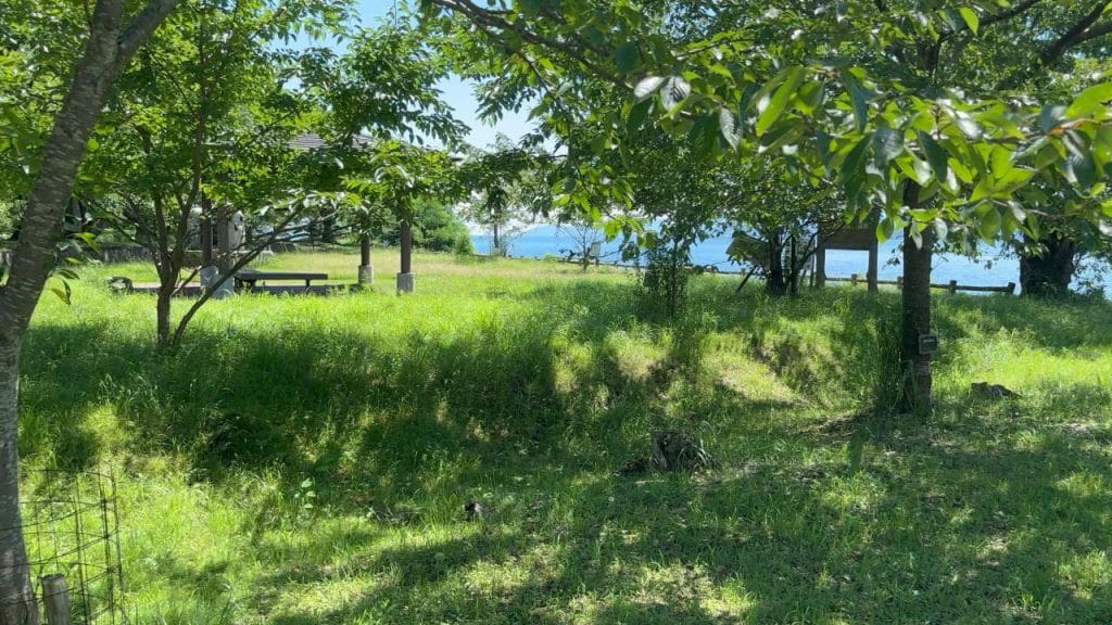 琵琶湖の高島市にある海津ワンドのバス釣りのポイントにあるベンチなど