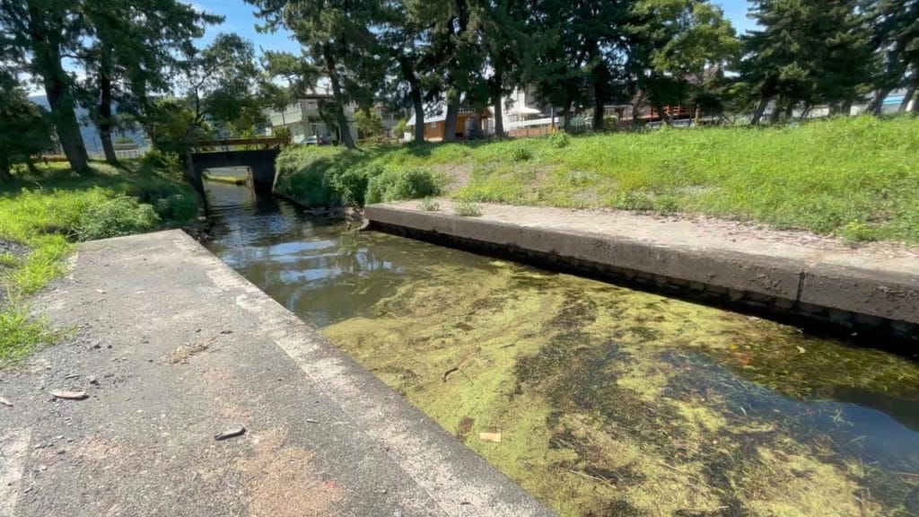 琵琶湖の中庄浜突堤のバス釣りポイントにある流れ込み