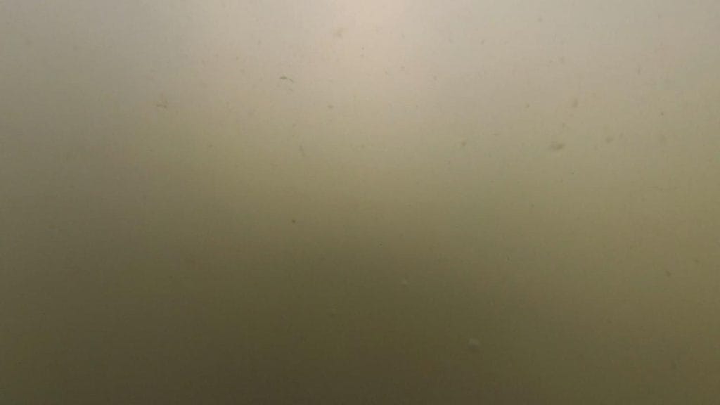 琵琶湖の相撲エリアの突堤手前の橋下のバス釣りポイントの水中映像