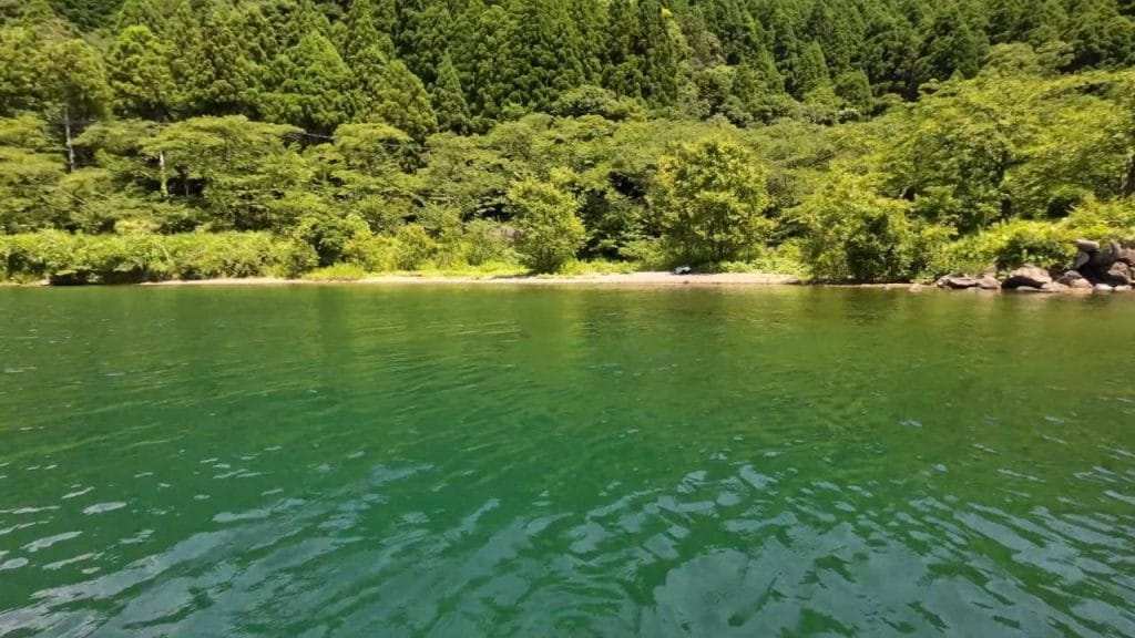 琵琶湖の海津ワンドのバス釣りポイントの沖30-60ｍの沖からの様子