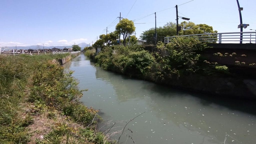 琵琶湖の相撲エリアの突堤手前の橋下のバス釣りポイントの水路側