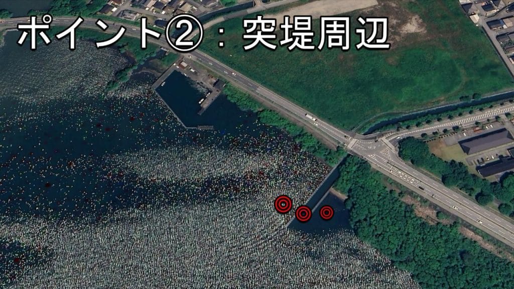 琵琶湖の相撲エリアの突堤周辺のバス釣りポイント