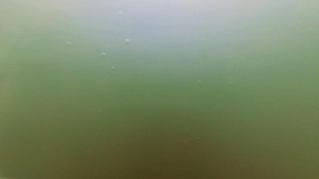 琵琶湖の相撲エリアの突堤周辺のバス釣りポイントの水中映像