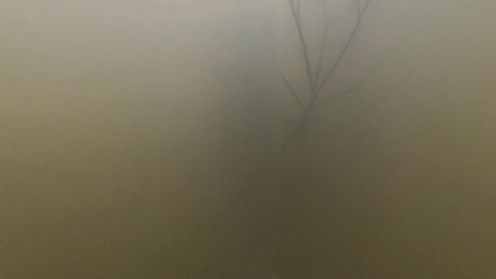 琵琶湖の相撲エリアの水門周辺のバス釣りポイントの水路側の水中映像