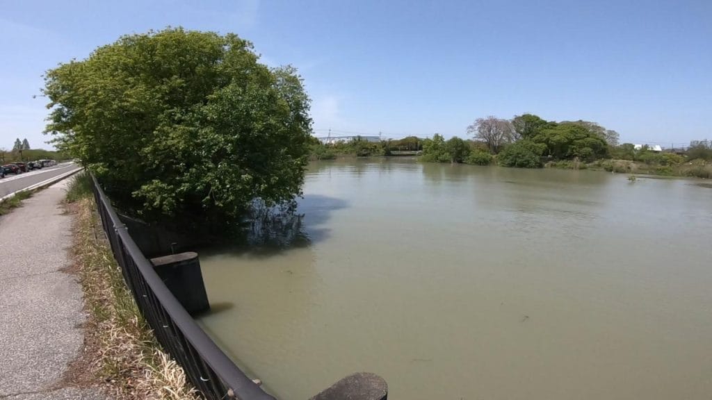 湖岸緑地細江の北側
