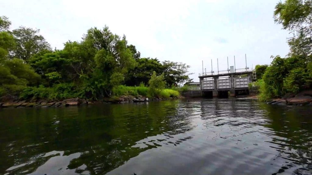安曇川浜園地の様子１