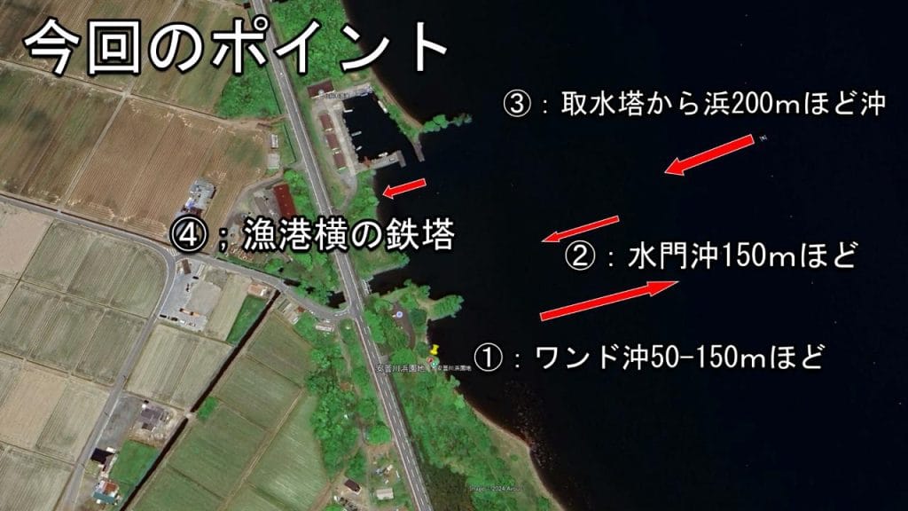 安曇川浜園地の紹介するポイント