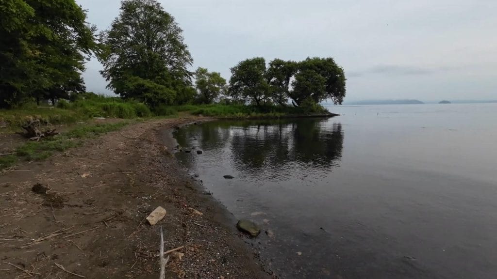 安曇川浜園地の様子２