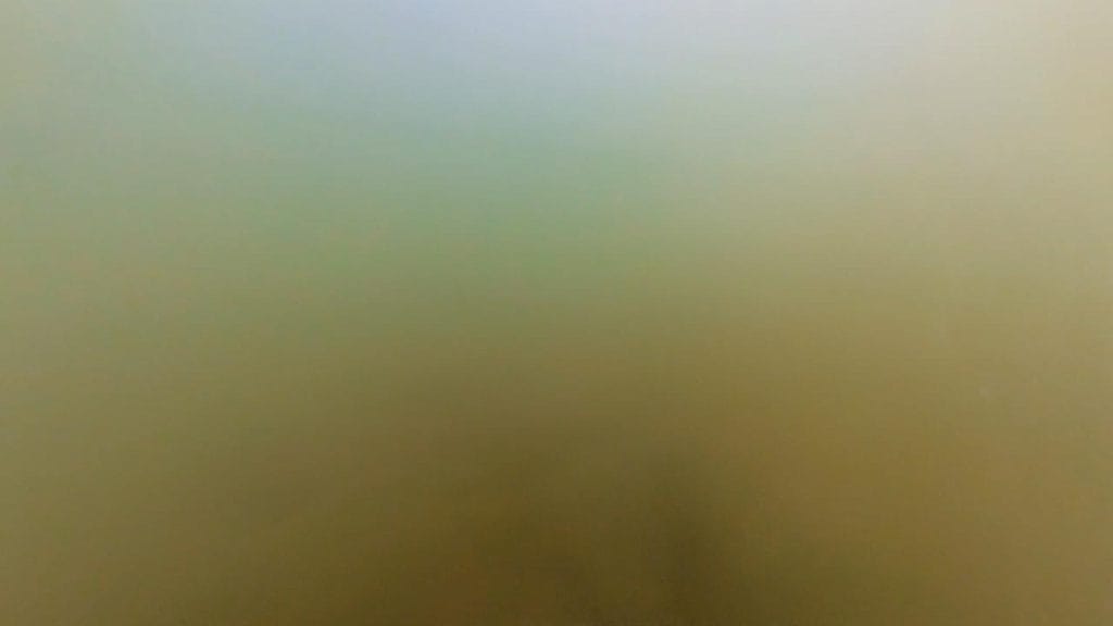 湖岸緑地川道の釣りポイント①－水中映像魚影なし