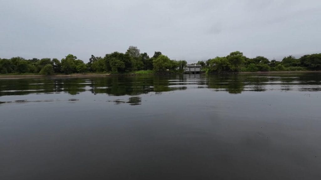 安曇川園地公園のポイント②-5