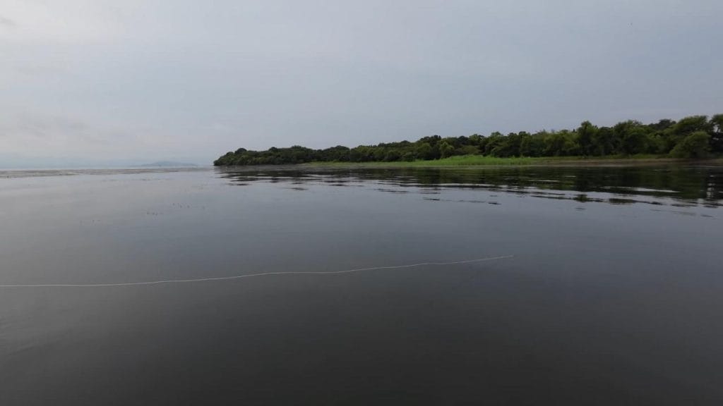 安曇川園地公園のポイント②-4