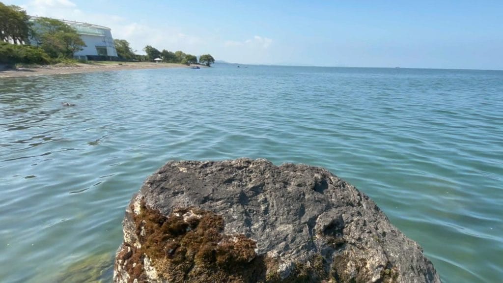 彦根旧プリンスホテル前周辺の烏帽子岩のバス釣りのポイントの南