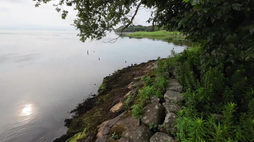 安曇川園地公園のポイント②-7