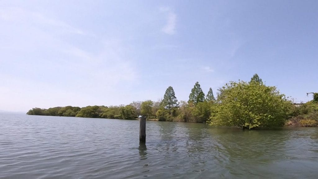 湖岸緑地川道の釣りポイント①-5