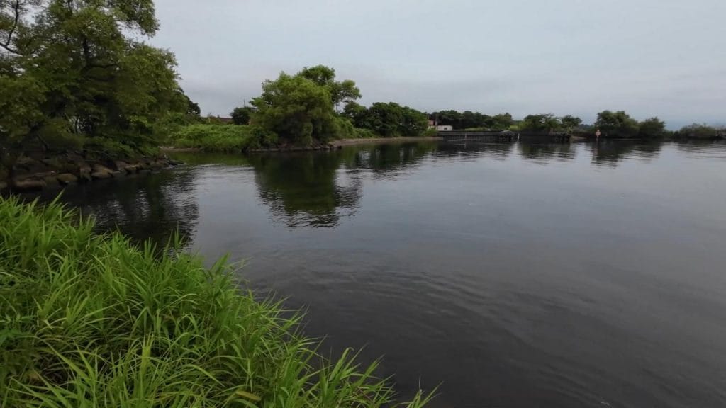 安曇川園地公園のポイント②-6