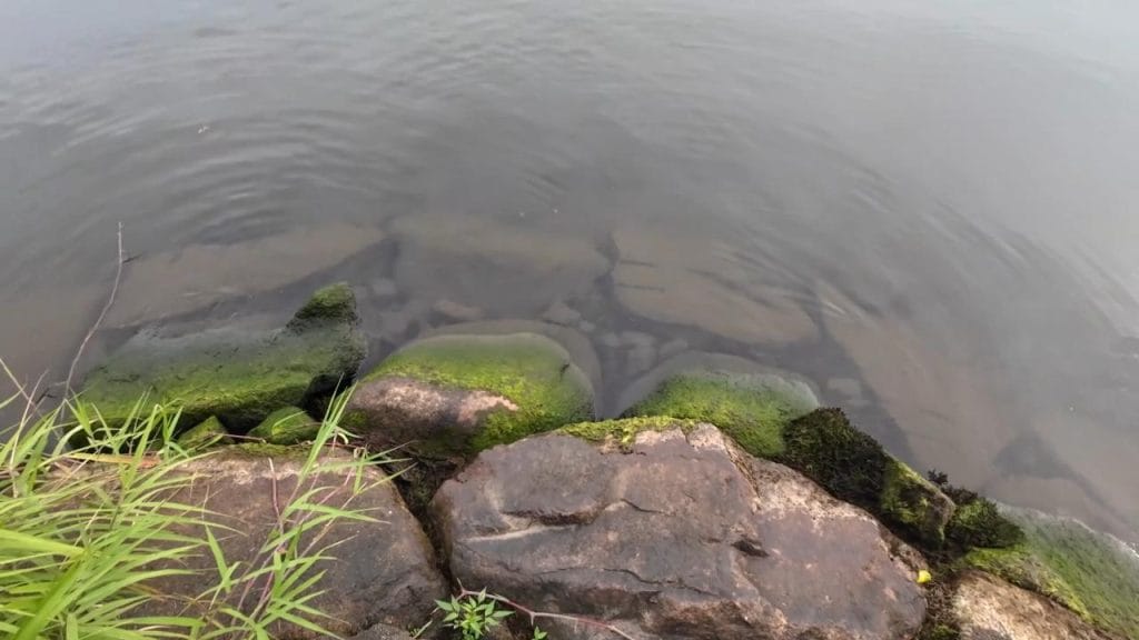 安曇川園地公園のポイント②-8