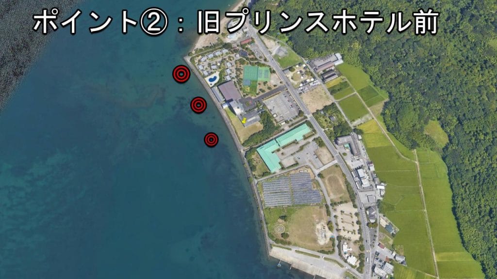 彦根旧プリンスホテル前のバス釣りポイント