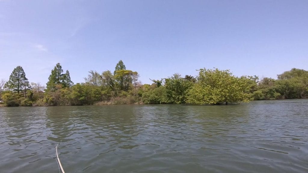 湖岸緑地川道の釣りポイント②－３