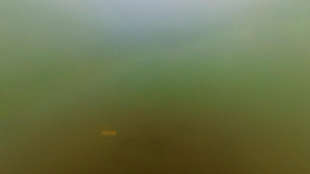 湖岸緑地川道の釣りポイント②－水中映像魚影なし