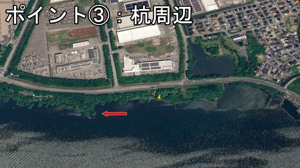 湖岸緑地川道の釣りポイント③