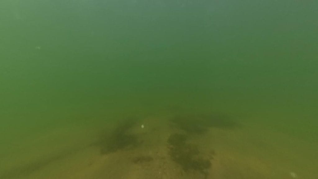 彦根旧プリンスホテル前のバス釣りポイントの水中映像