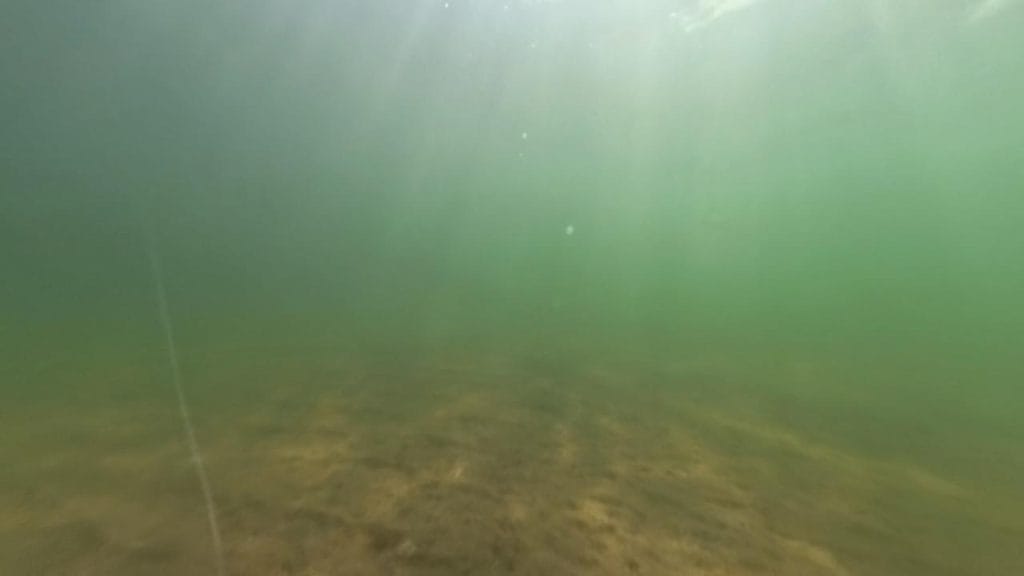 彦根旧プリンスホテル前のバス釣りポイントの水中映像（魚影なし）