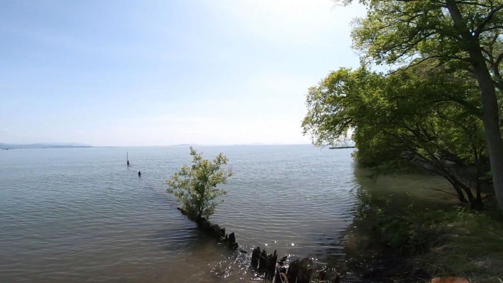 湖岸緑地川道の釣りポイント③－1