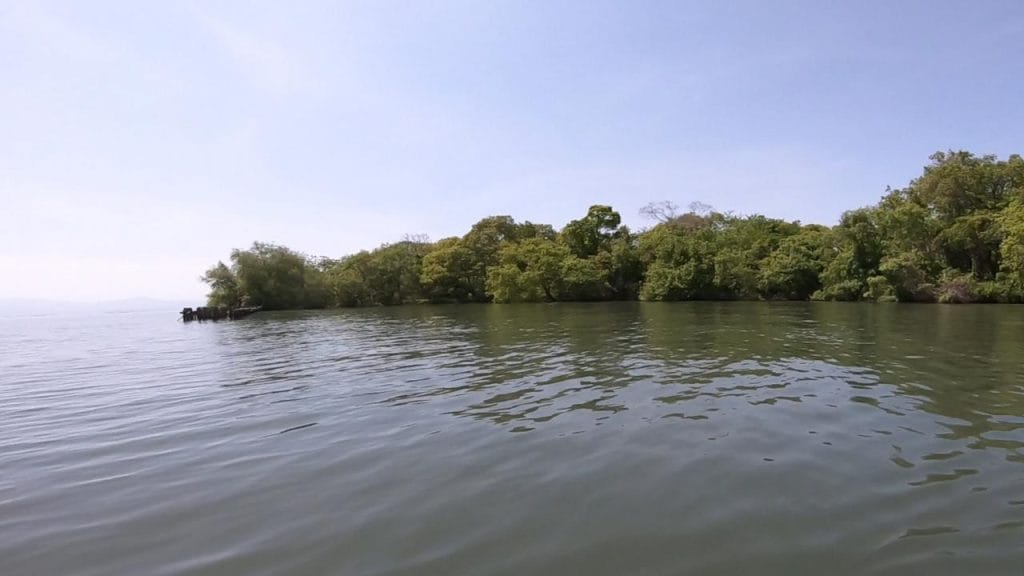 湖岸緑地川道の釣りポイント③－3