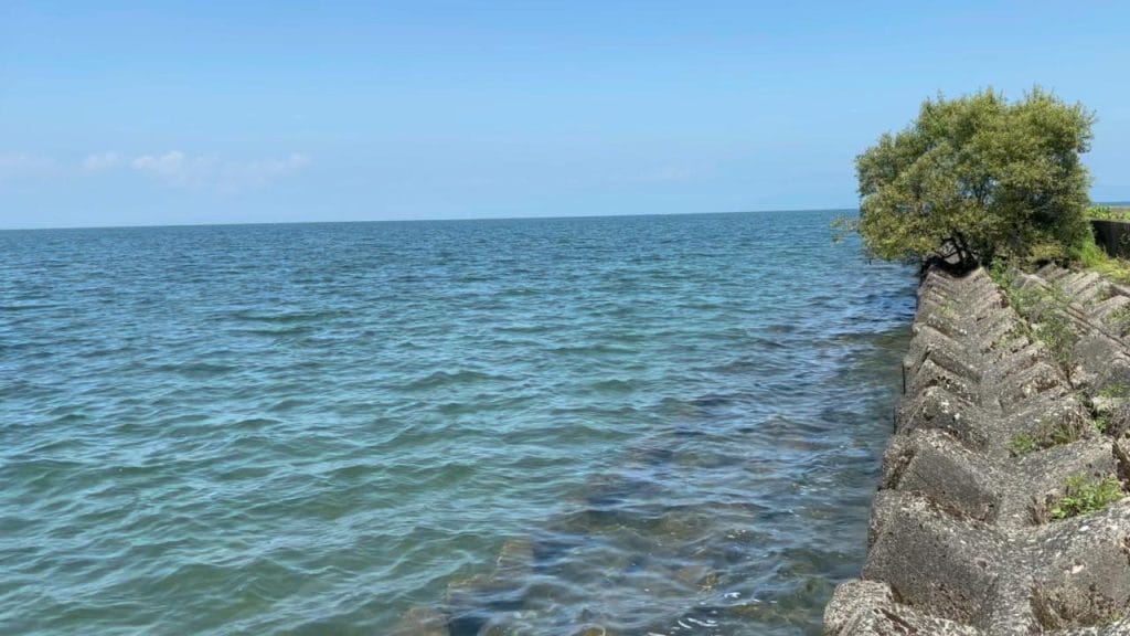 彦根旧プリンスホテル前中央のバス釣りポイントの北側