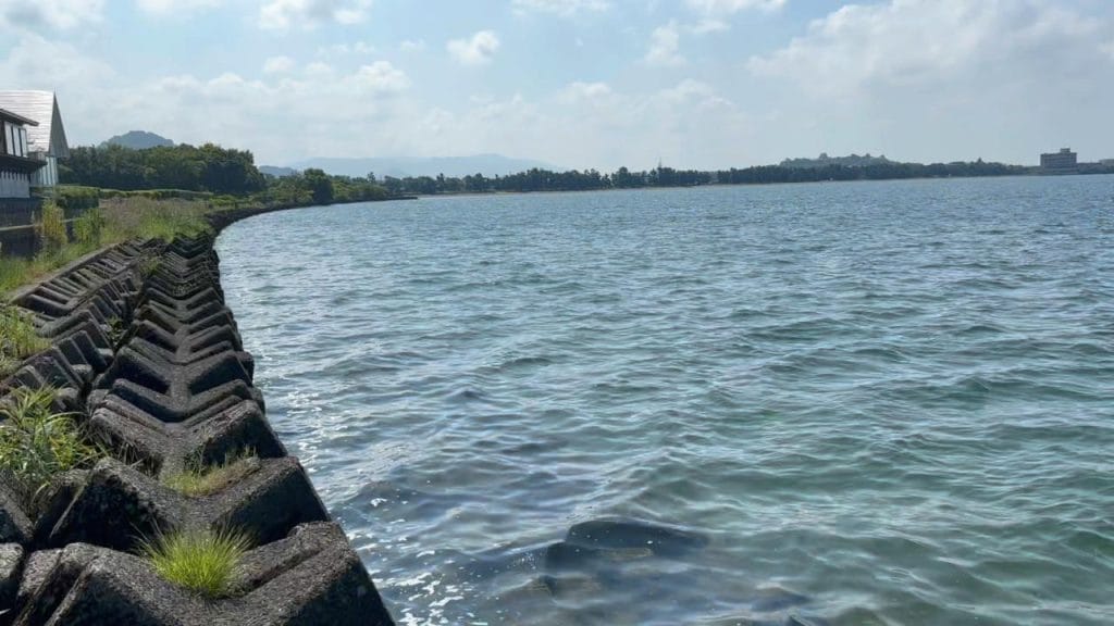 彦根旧プリンスホテル前中央のバス釣りポイントの南側