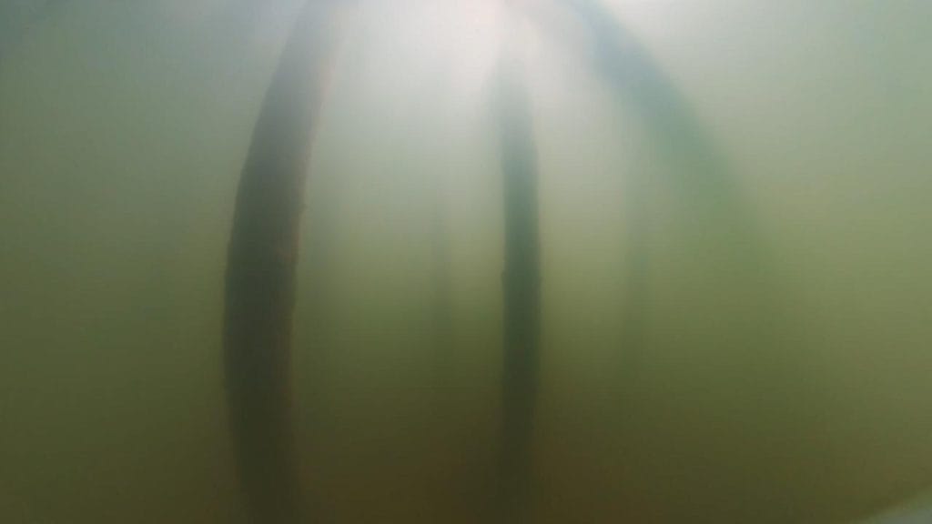 湖岸緑地川道の釣りポイント③－水中映像の杭