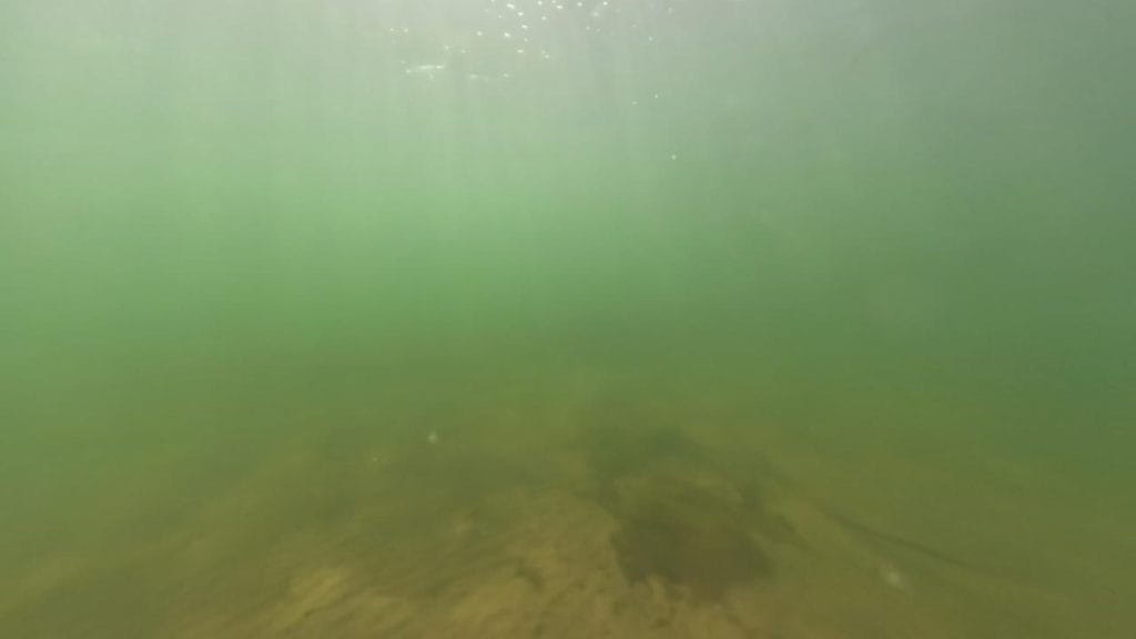 彦根旧プリンスホテル前中央のバス釣りポイントの水中映像