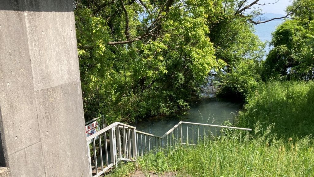 湖岸緑地川道の流れ込み水門