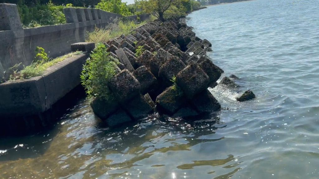 彦根旧プリンスホテル前南のバス釣りポイントの水路