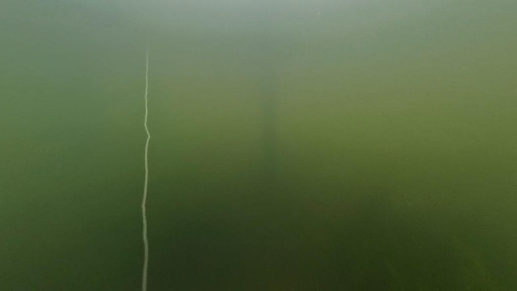 安曇川園地公園のポイント④の水中映像-1