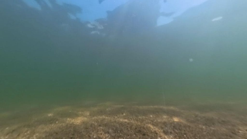 彦根旧プリンスホテル前南のバス釣りポイントの水中映像