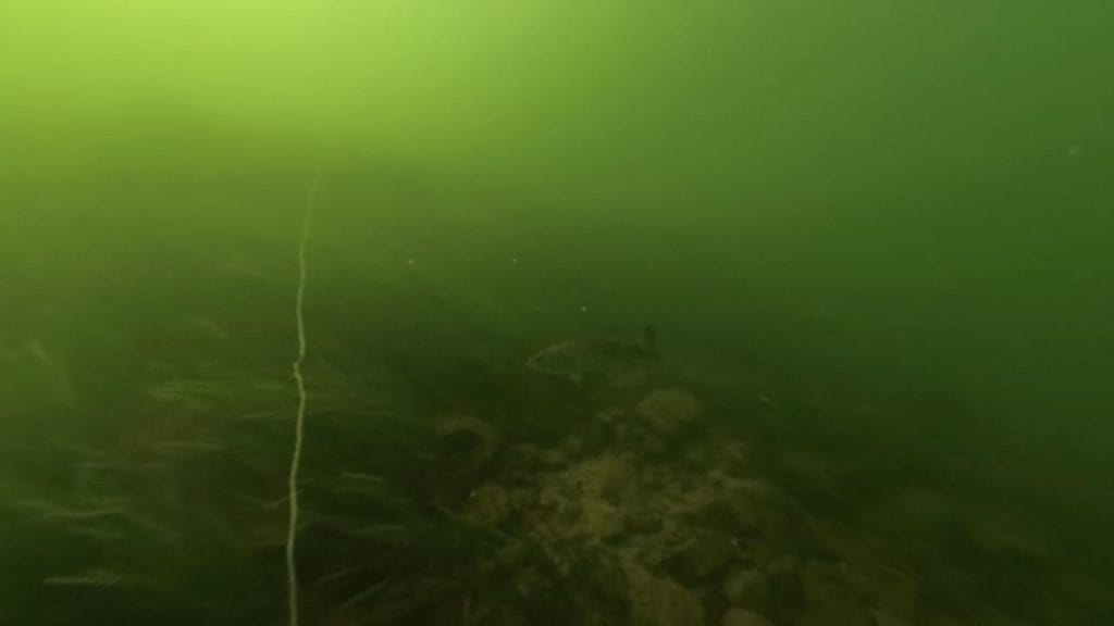 南郷洗堰のバス釣りポイント①の水中映像‐ブラックバス1匹＋ウイ－ド