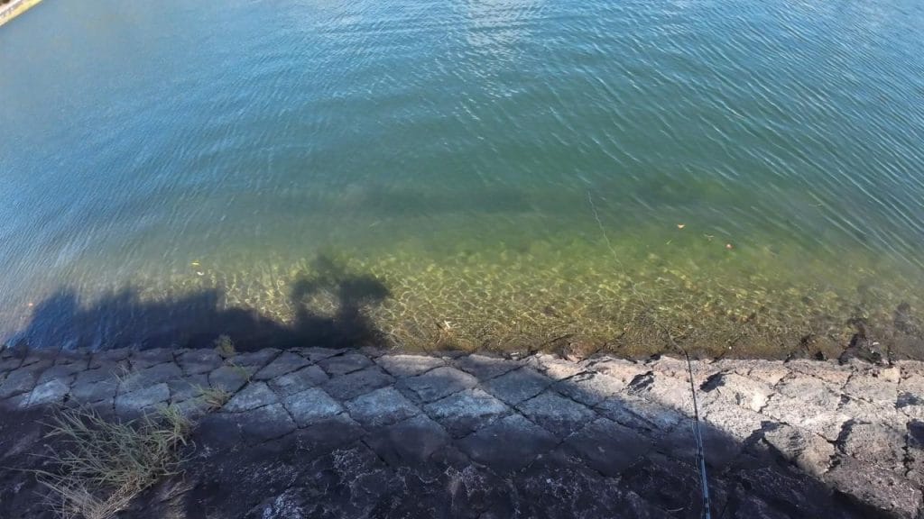 南郷洗堰のバス釣りポイント①の南の足元を撮影