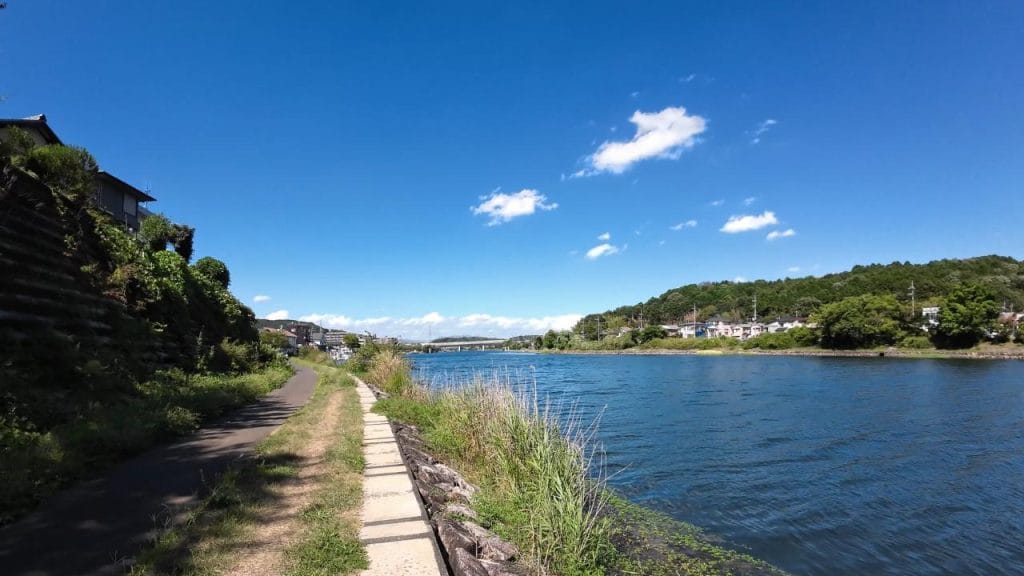 瀬田川南郷蛍橋北側エリア南のバス釣りポイントの北側