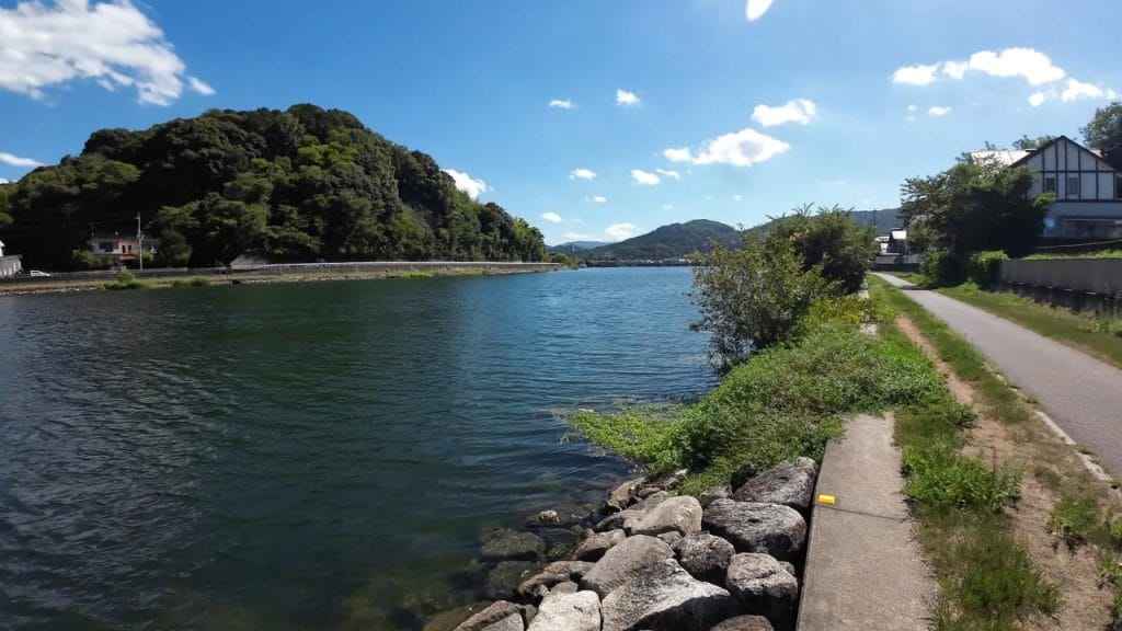 瀬田川南郷蛍橋中央エリア南のバス釣りポイントの南側