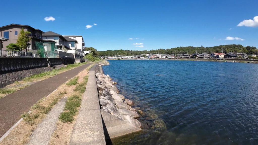 瀬田川南郷蛍橋中央エリア南のバス釣りポイントの北側